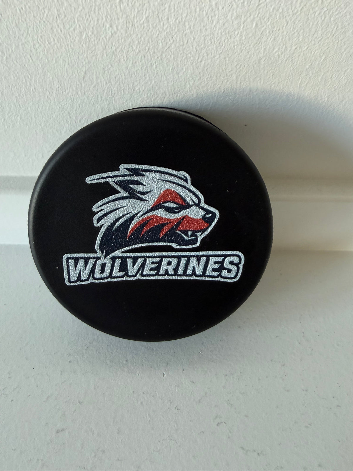 Foam Hockey Pucks