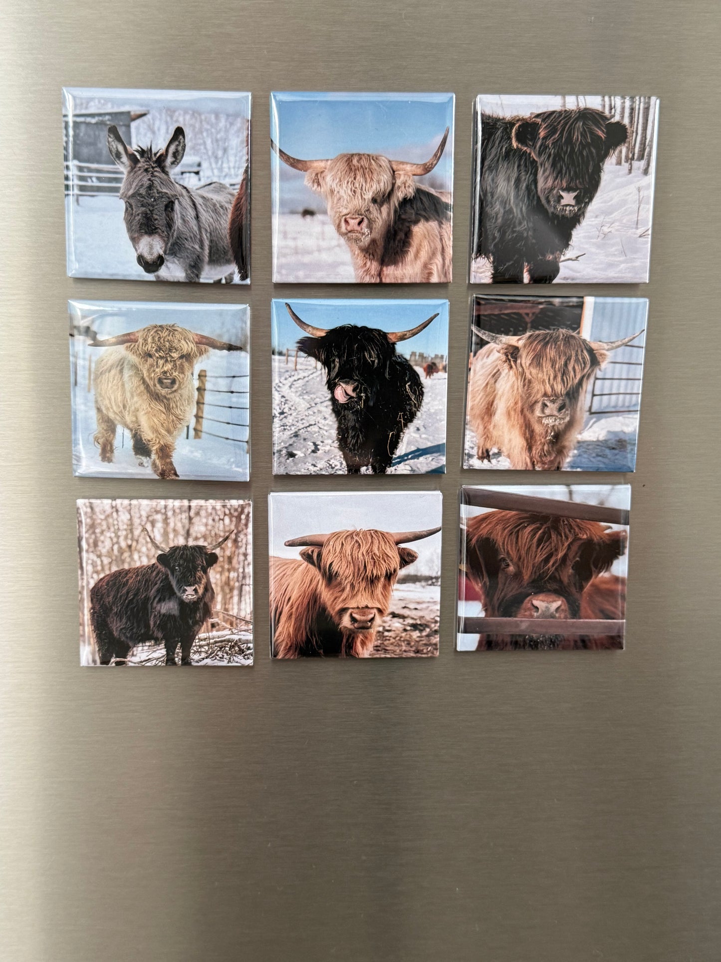 Photo/Logo Magnets