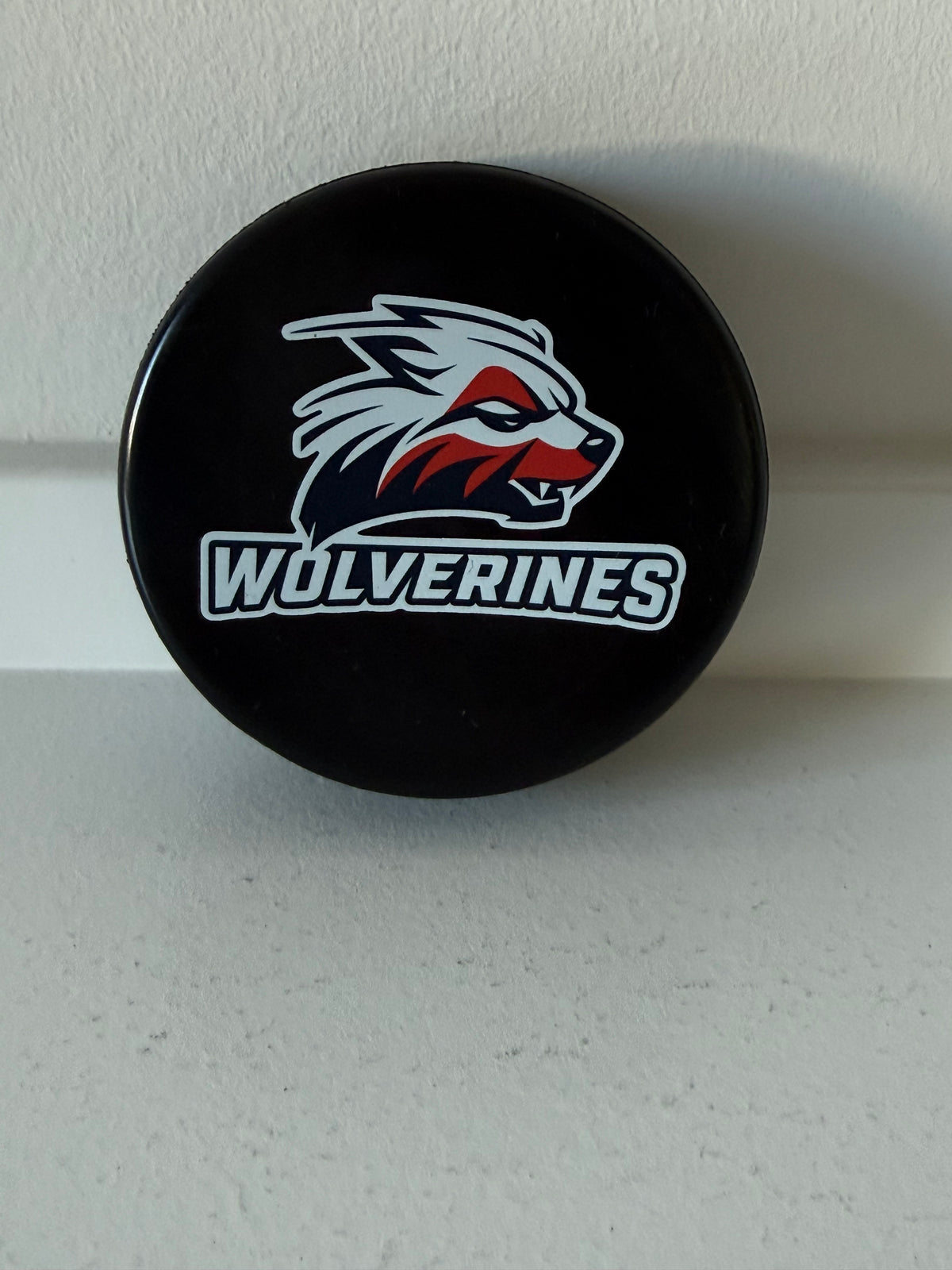 Hockey Pucks