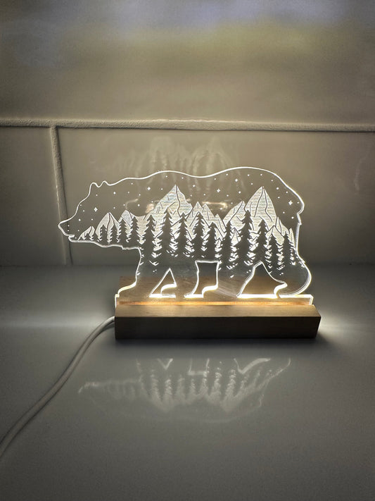 Custom LED Light